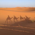 Camel rides during 7 days tour from Fes to Marrakech