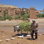 7 Days tour From Fes to Marrakech
