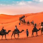 Camel trekking in Morocco with our 7 days tour from Casablanca