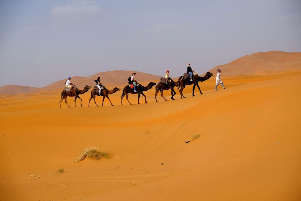 Join our camel ride with our 4 days desert tour from Marrakech to Fes